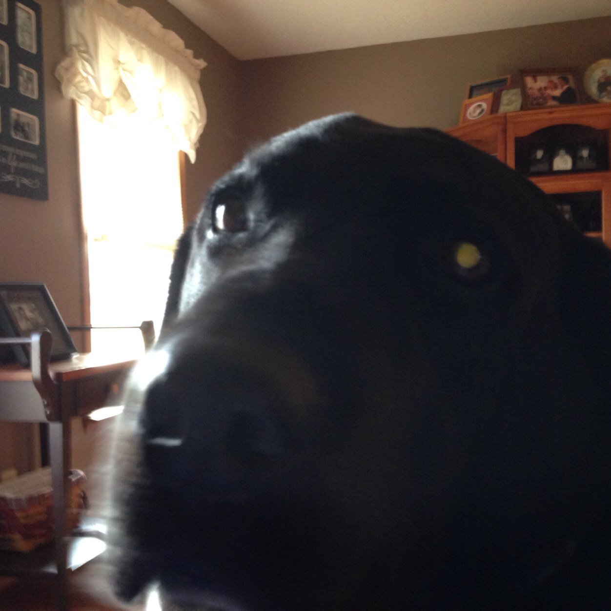 LadiesLinemen's profile picture. 