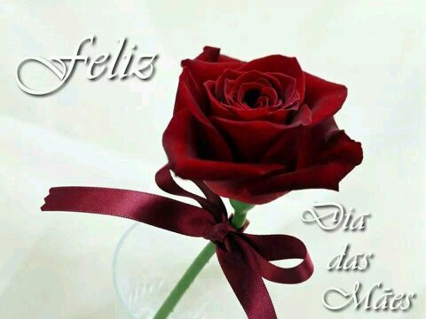 jamy2003's profile picture. 