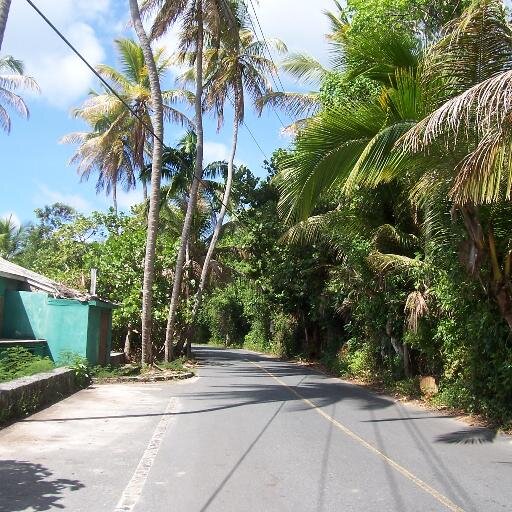 stj2017's profile picture. 