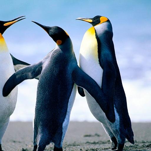 alexdamanqus's profile picture. 