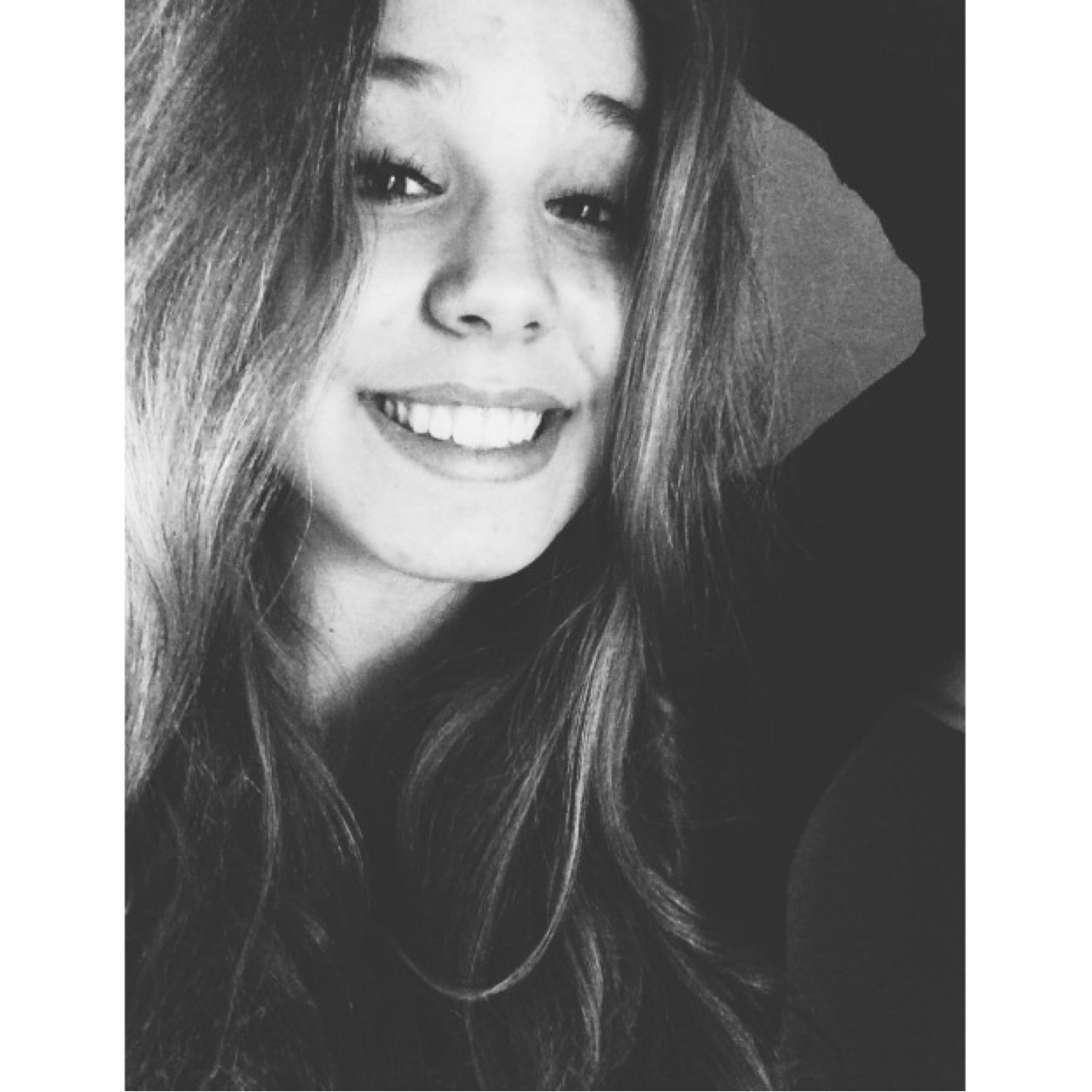 Nieuw twitteraccount - One Direction -
