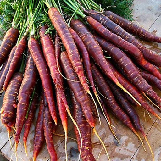 The Idora Neighborhood Farmers Market works to support local growers and food producers, and to bring healthy, fresh food to Youngstown, Ohio.