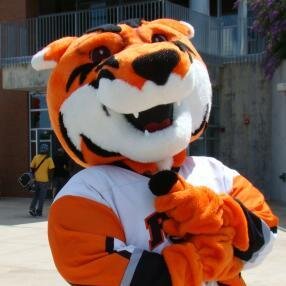Student of the class of 2018/2019? This could be you! http://t.co/Zi4OjSp86G