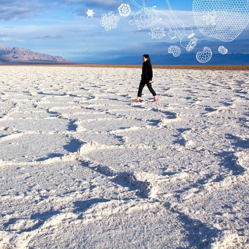 Interdisciplinary visual artist in New York City. Creator of The Walk Project  exploring the relationship with our environments.