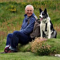 Graham Brown (@rolfpink) 's Twitter Profile Photo