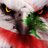 3b50e8f6fb1d438's profile image
