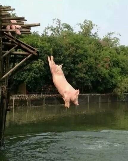 KraomklangWhan's profile picture. 