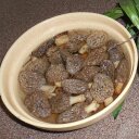 Guy Wolf - @Wolfclan3Guy - Twitter