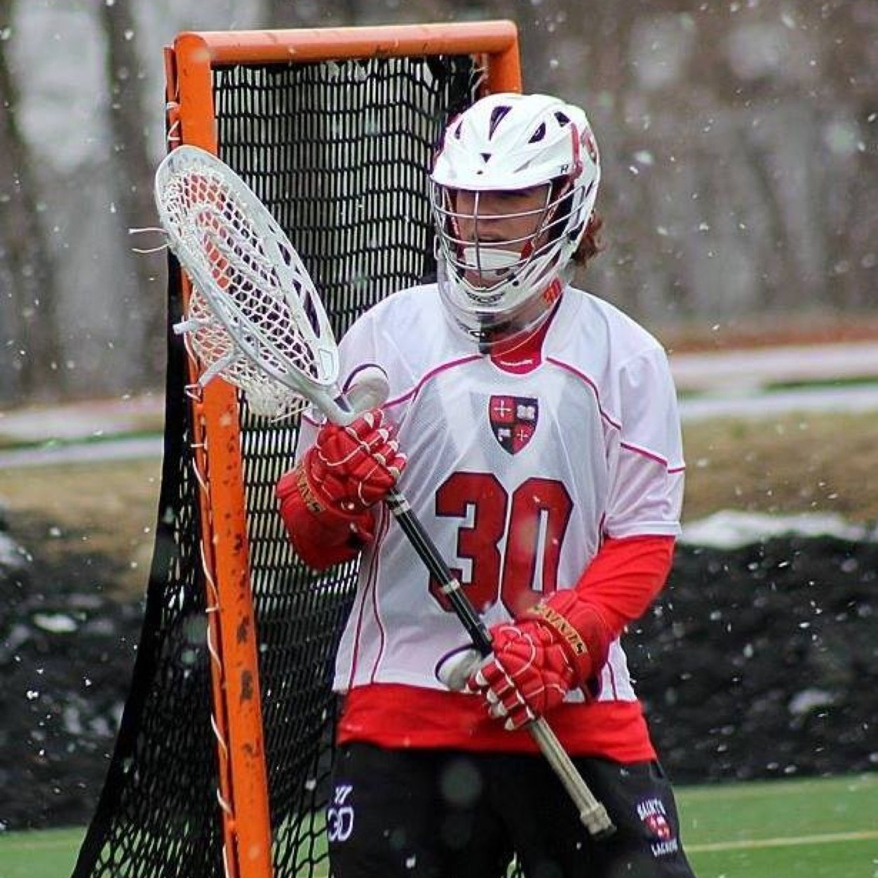 TweetyFord19's profile picture. 