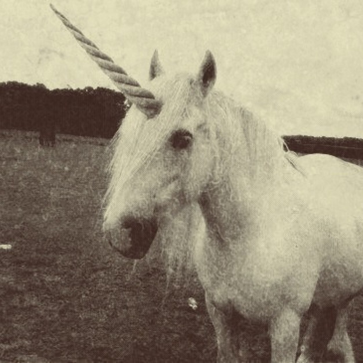 AuroraDeledda Profile Picture