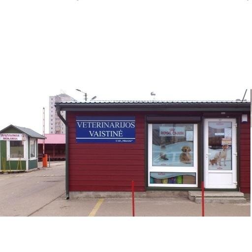 NikovetaUAB's profile picture. 