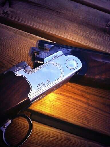 carlfabarmaxis's profile picture. keen clay pigeon shooter