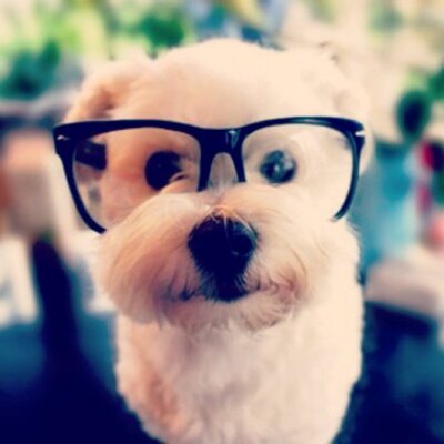 Zexi_YG's profile image