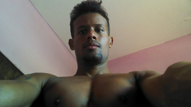 TacioLessa's profile picture. 