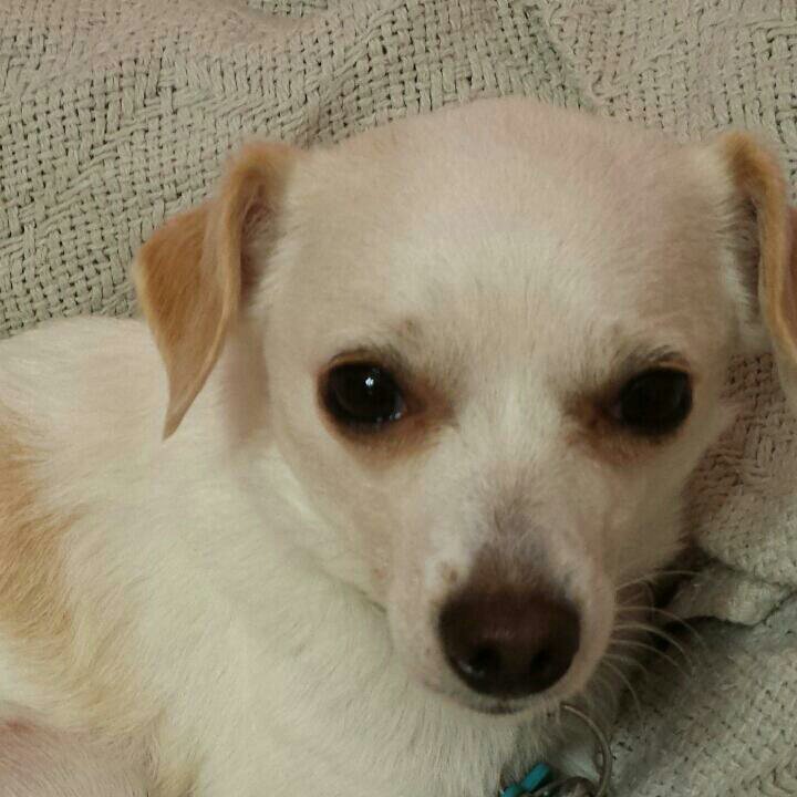 Just a gal with a passion for Make-Up, DIY and Life. Married with two dog-babies.