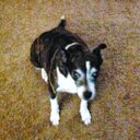 Mark Vance - @marksvance6262 - Twitter