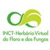 INCT-HerbárioVirtual (@inct_hvff) Twitter profile photo INCT-HerbárioVirtual (@inct_hvff) Twitter profile photo