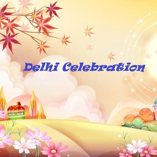 Delhi Celebration is Best Birthday Theme Party Organizer in Delhi, Noida, Gurgaon, Ghaziabad. We Deal in Kid's Birthday, Birthday Balloon Decorations & More.