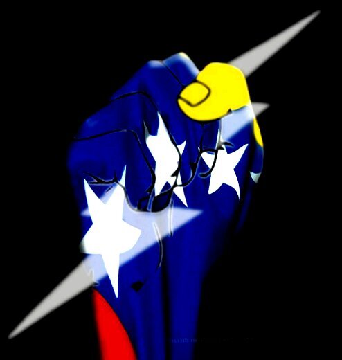 Promover actividades democráticas y pacíficas contra el régimen actual