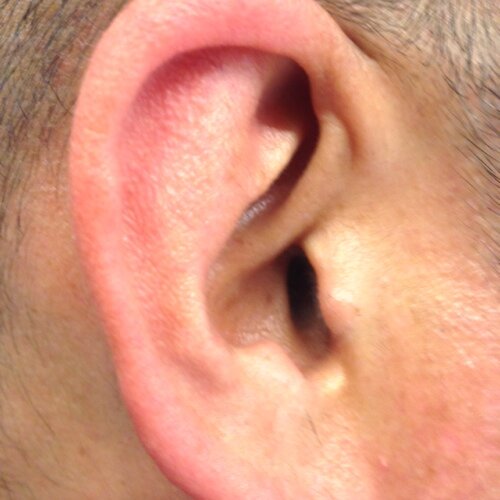 cedazoyo's profile picture. 