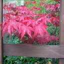 Rainy Woods - @RainyWuds - Twitter