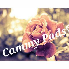 Follow Us on Instagram IG:LEXICEZA and IG:bieberbieberbieber666!Go buy em now!(The Cammy Pads) #justintosouthafrica