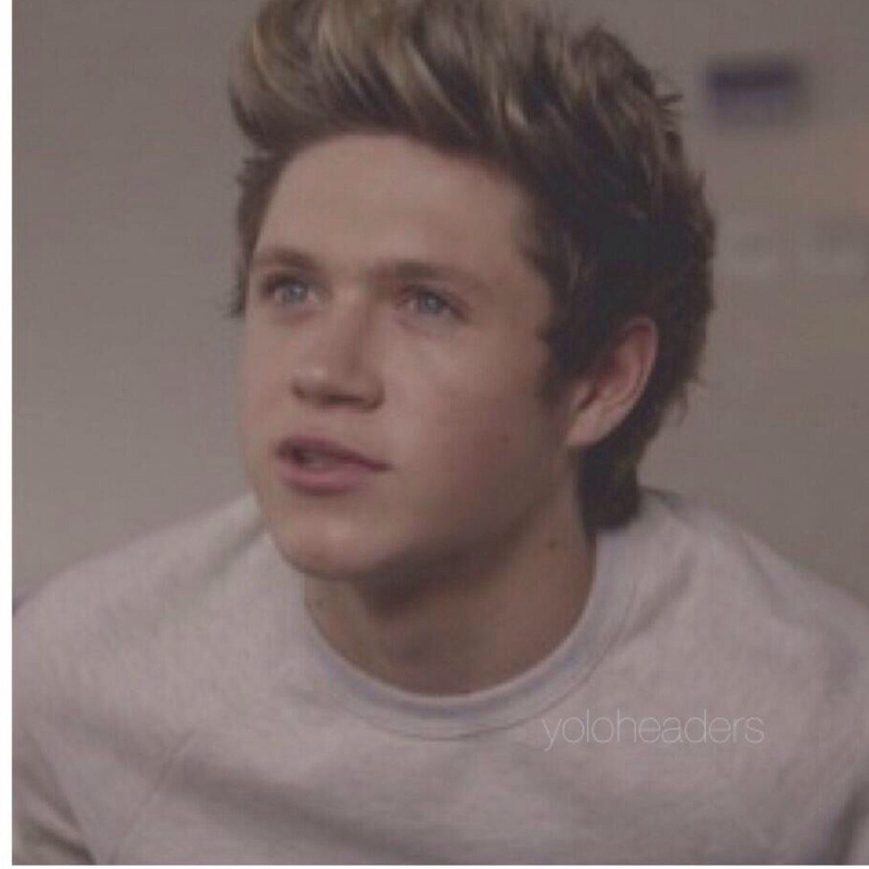 follow @niallporn ask her for a follow back!!
