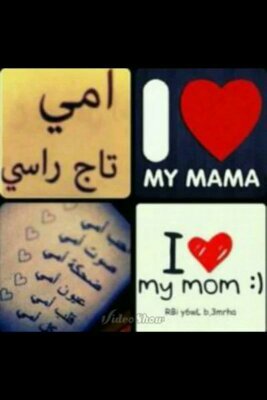 nnaa4528's profile picture. 