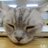 海斗 引きこもりのアイコン