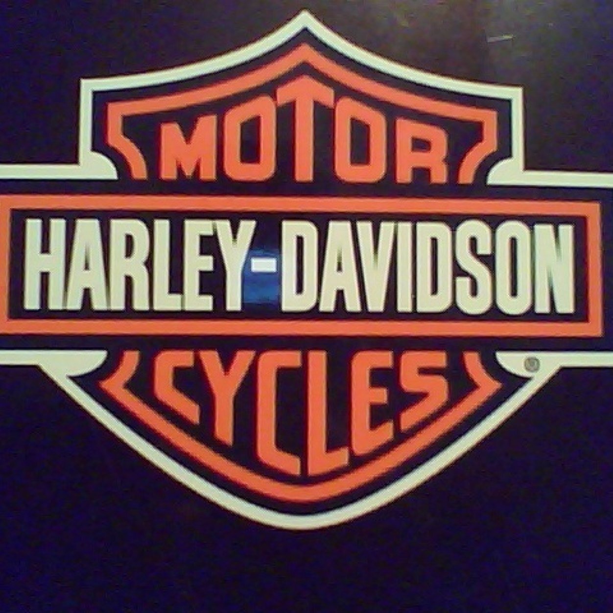 CarlosF27472181's profile picture. Harley Davidson, Corvettes, C&R Motorcycle service, Family