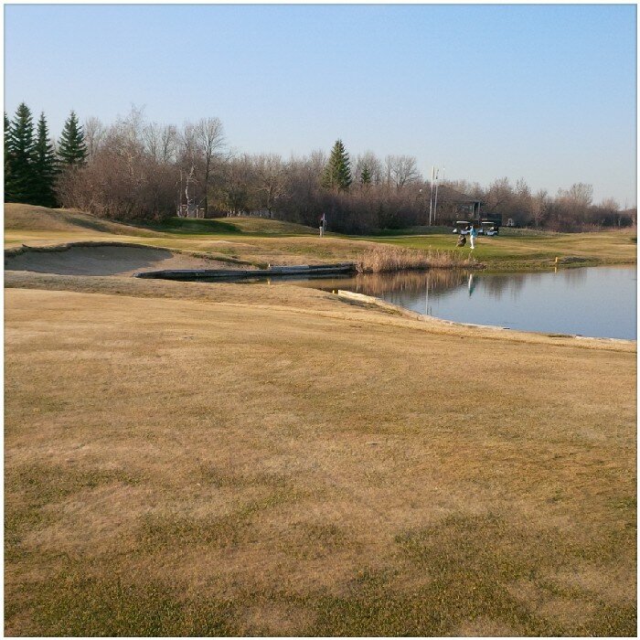 bizetto_de's profile picture. 