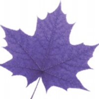 LCERPA Economics (@lcerpa_econwlu) 's Twitter Profile Photo LCERPA Economics (@lcerpa_econwlu) 's Twitter Profile Photo