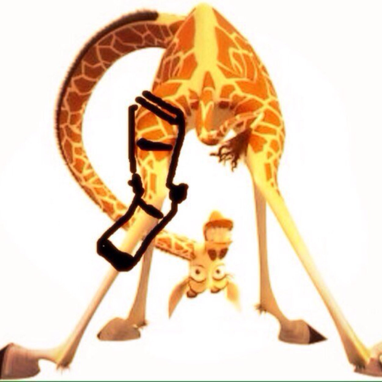 TheACLlife's profile picture. Inspiration