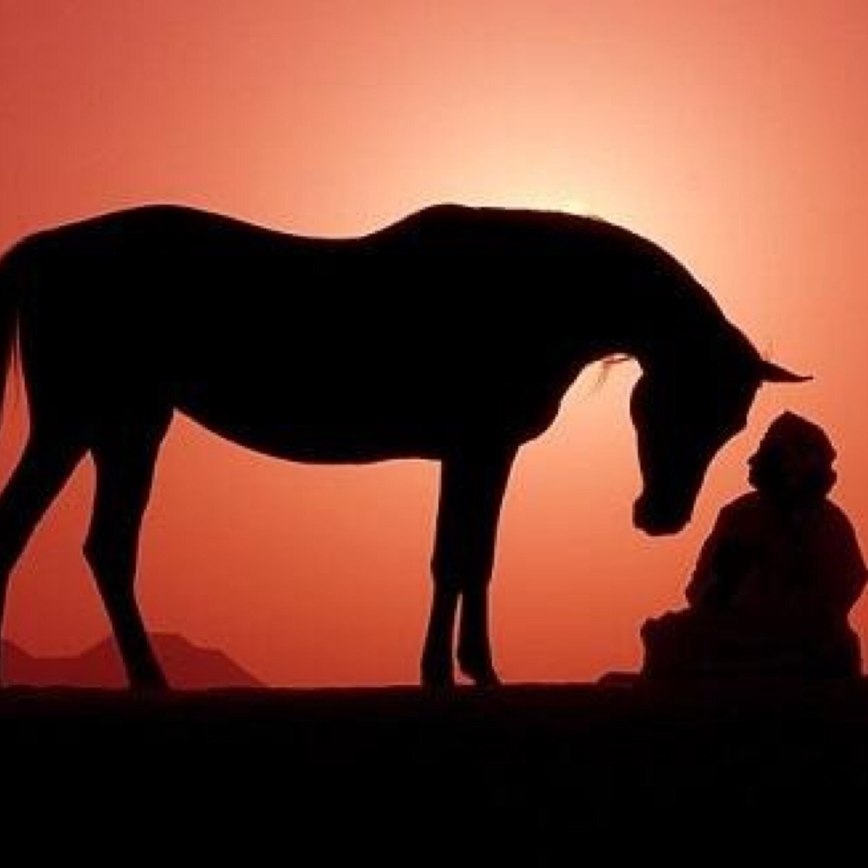 HaMaDalgabaly's profile picture. والله غالب على امره ولكن اكثر الناس لايعلمون