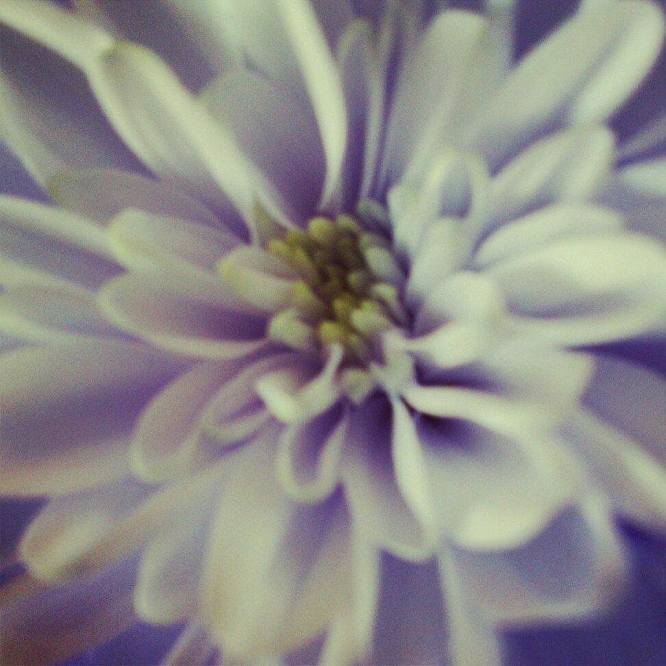 Happy, joyous and free!
