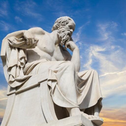 steinschild_o89's profile picture. 