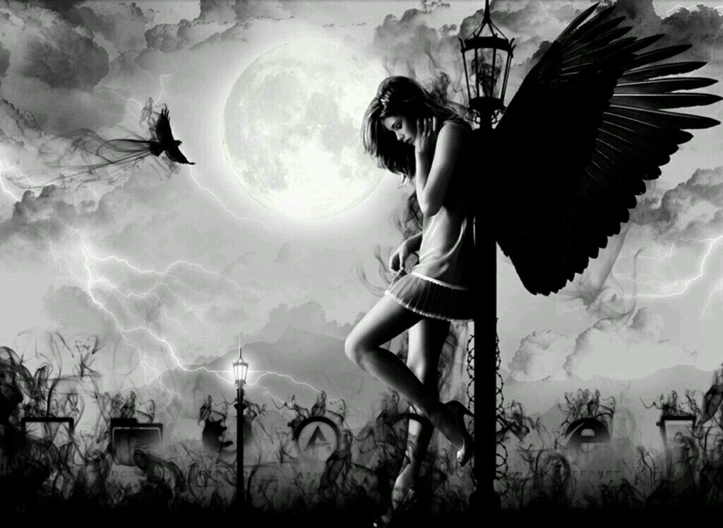 Ap_x_ABALAM's profile picture. UK cod clan