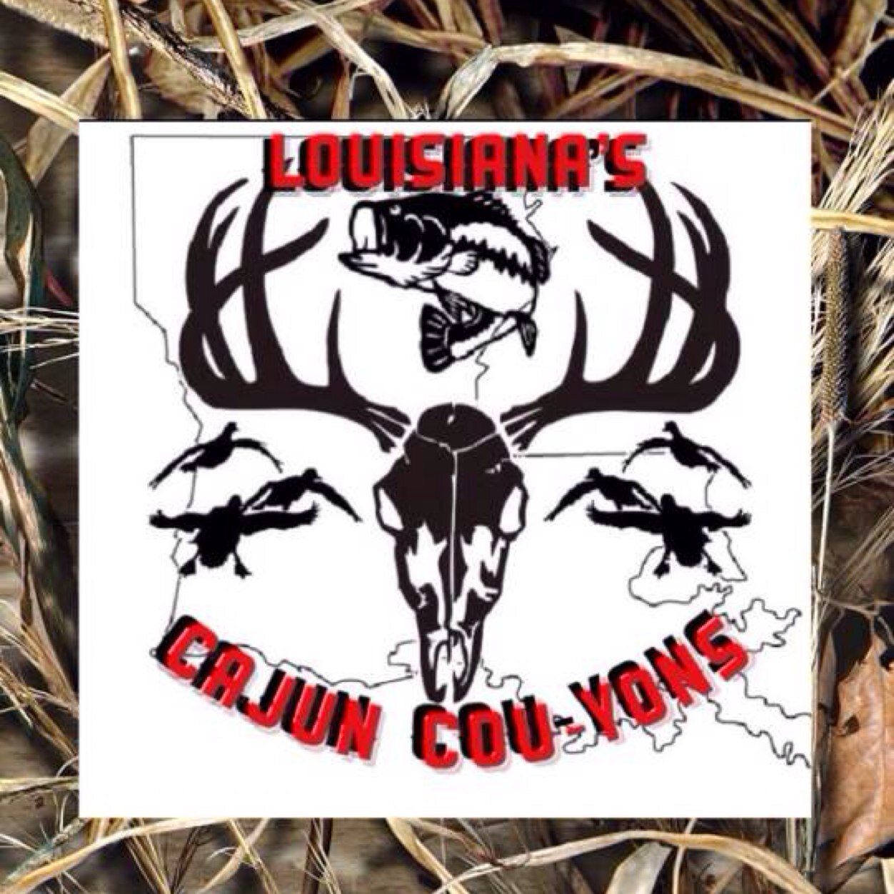 Kik: swamppassion est. 11/27/14 follow us on instagram @cajuncouyon1