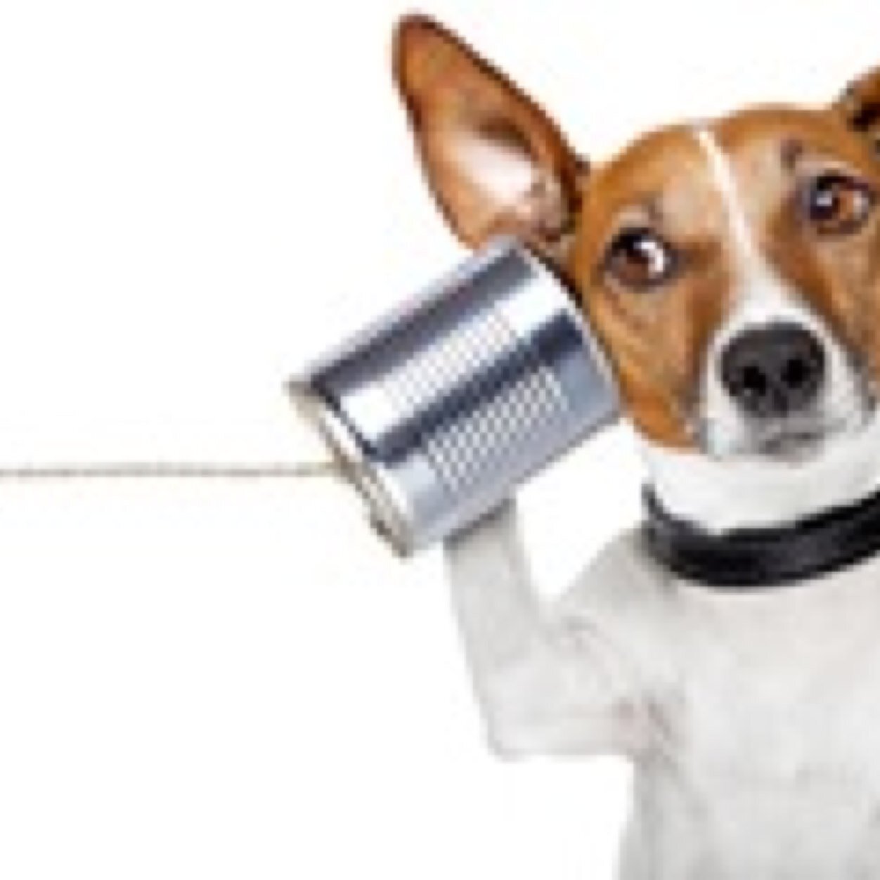 MasonScholl's profile picture. 