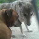 john wayne davison - @doodjohnwayne - Twitter