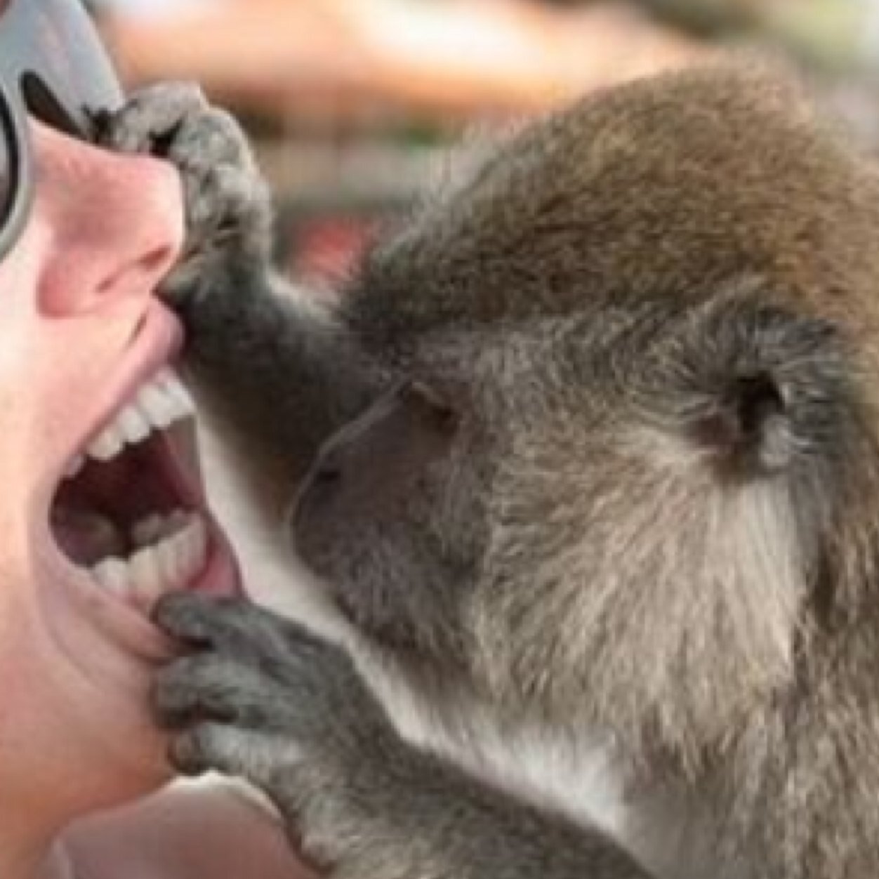 Predentproblems's profile picture. I love anything that shines, especially perfect shiny clean teeth. All I want to do is change the world, one tooth at a time.