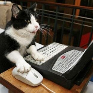 WoW Software Engineer
This is my personal account; views expressed are my own