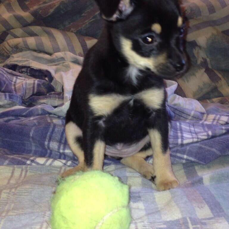 jedi_buttcheeks's profile picture. 