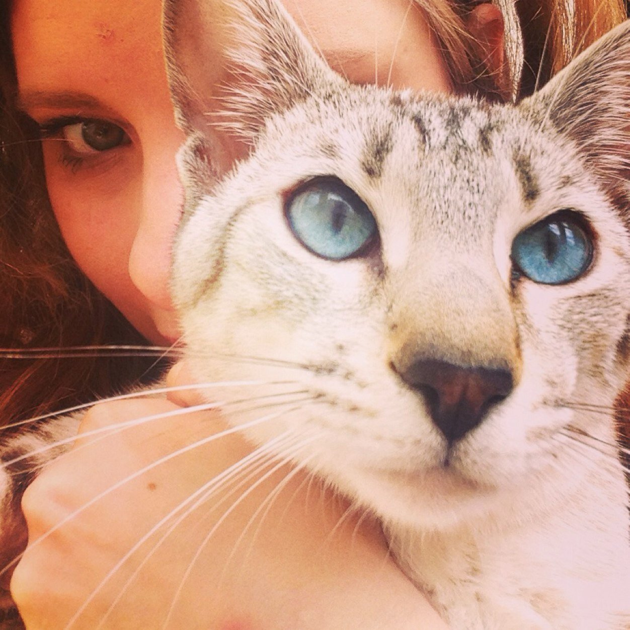 bethanlara's profile picture. insert something cute and funny here