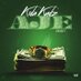kida #kingin (@kidakudz_ybnl) Twitter profile photo