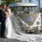 TheLovebusWedCo's profile image