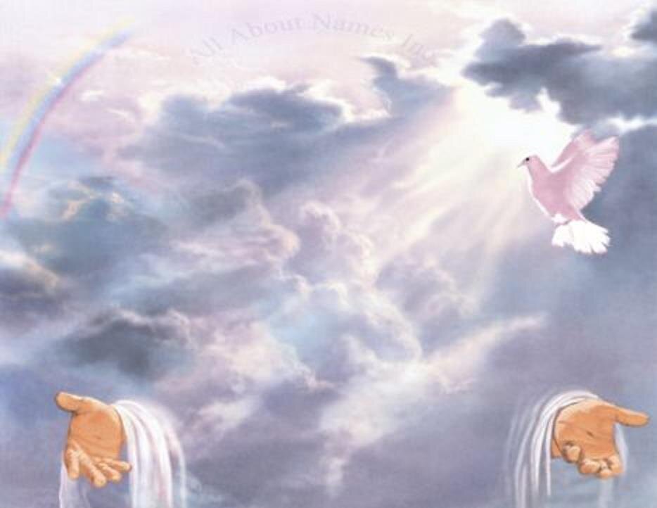 elpoderdedios3's profile picture. 