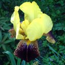 Alison Floyd - @alisonf23 - Twitter