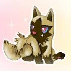 Just a baby Poochyena. || Papa: @AwesomeMarco_ Mama: @CutePooch_ Sister: @NighttimePup | #Male #RP