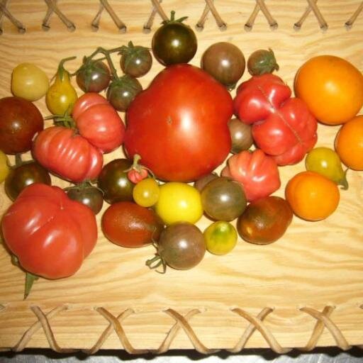 Hacemos TODO para que comas bien